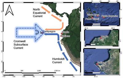 COVID-19 Impacts on Beaches and Coastal Water Pollution at Selected Sites in Ecuador, and Management Proposals Post-pandemic